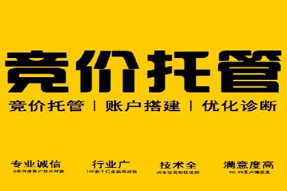 某电商平台的SEM优化托管实践与效果评估
